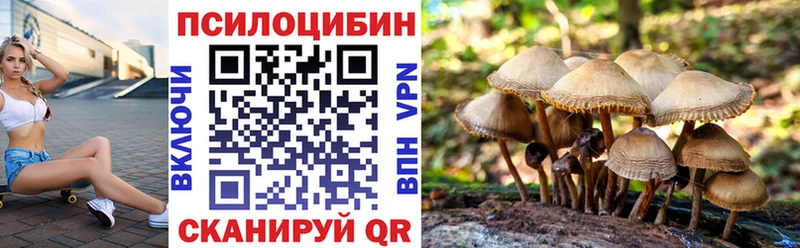 Галлюциногенные грибы Psilocybine cubensis  mega ТОР  Грайворон 